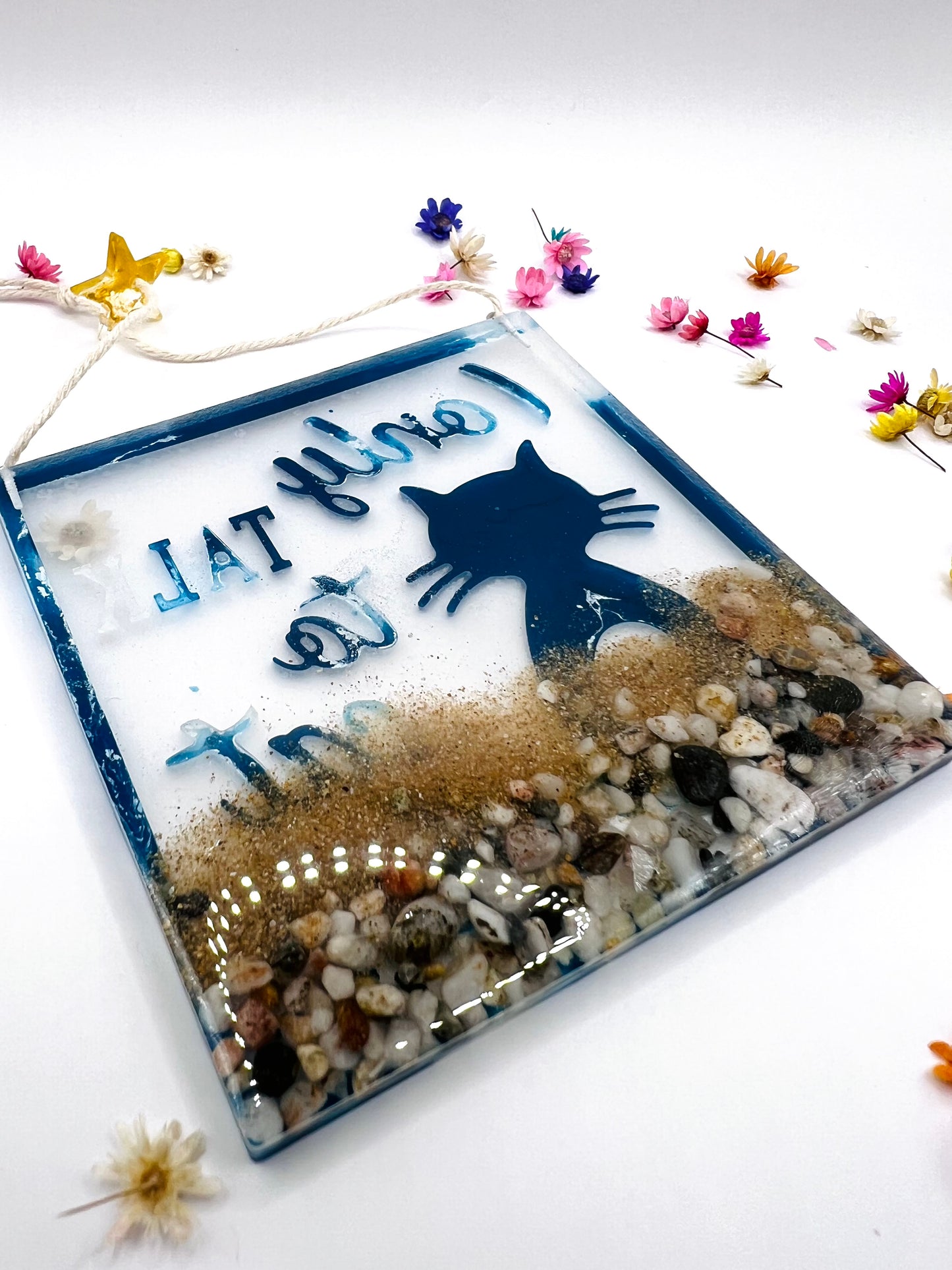 Placa decorativa gato "I only talk to cat people"