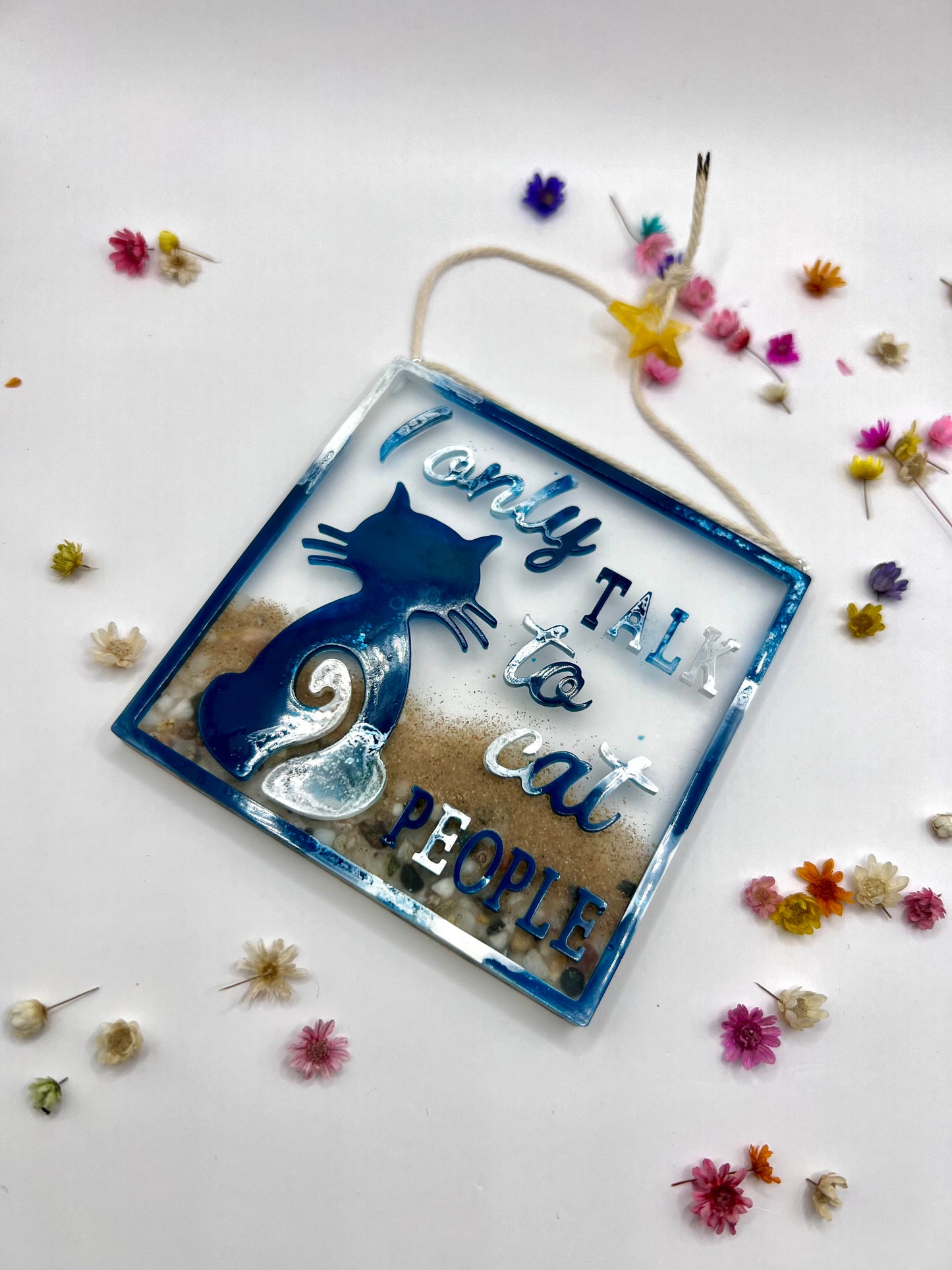 Placa decorativa gato "I only talk to cat people"